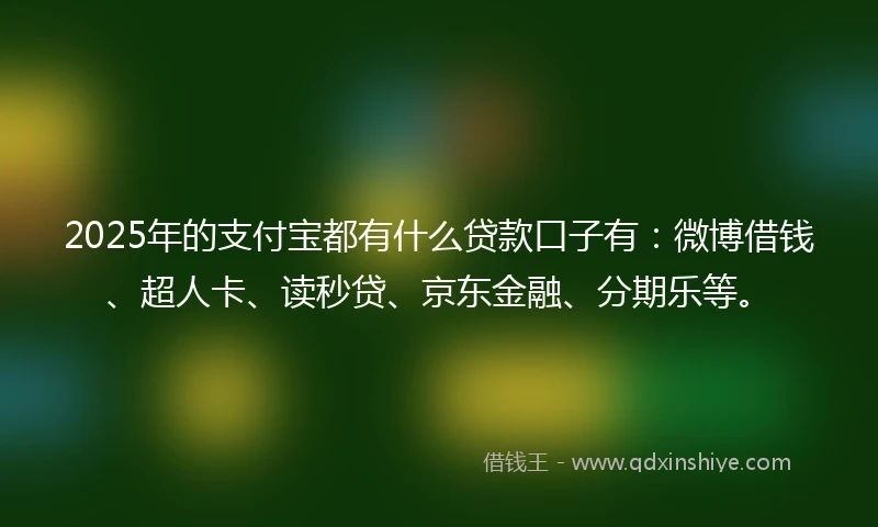 2025年的支付宝都有什么贷款口子有：微博借钱、超人卡、读秒贷、京东金融、分期乐等。