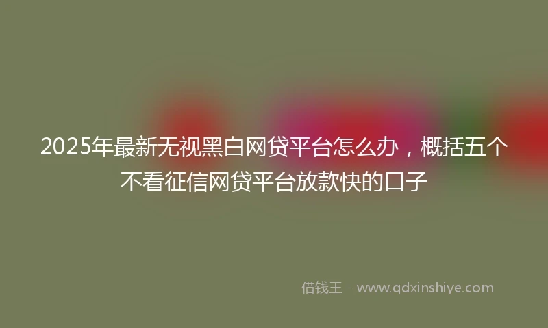 2025年最新无视黑白网贷平台怎么办，概括五个不看征信网贷平台放款快的口子