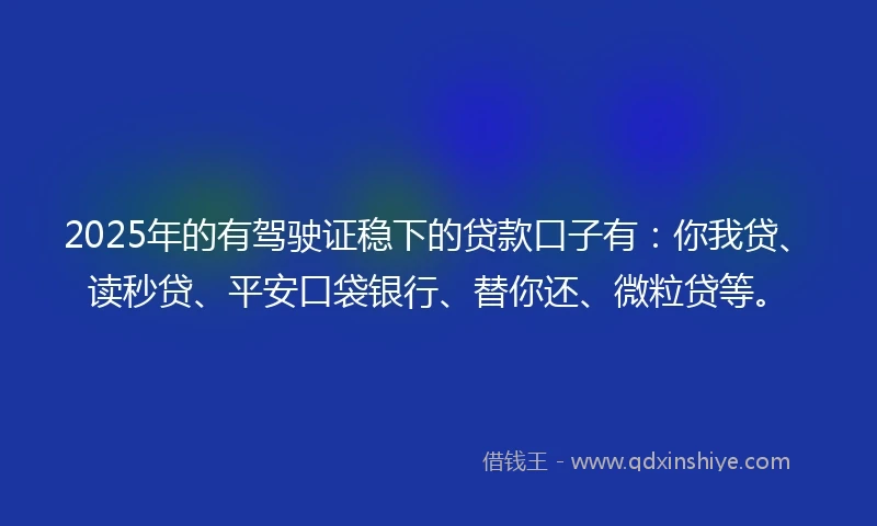 2025年的有驾驶证稳下的贷款口子有：你我贷、读秒贷、平安口袋银行、替你还、微粒贷等。
