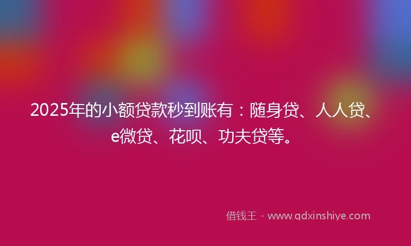 2025年的小额贷款秒到账有：随身贷、人人贷、e微贷、花呗、功夫贷等。