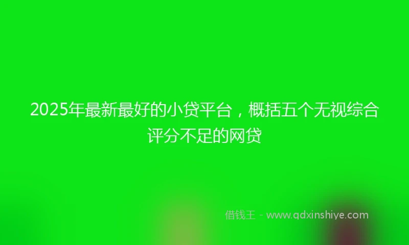 2025年最新最好的小贷平台，概括五个无视综合评分不足的网贷