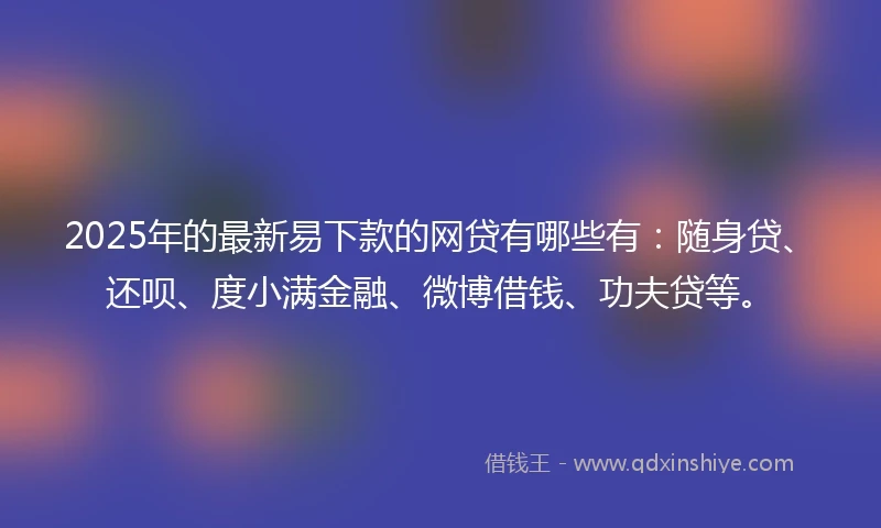 2025年的最新易下款的网贷有哪些有：随身贷、还呗、度小满金融、微博借钱、功夫贷等。