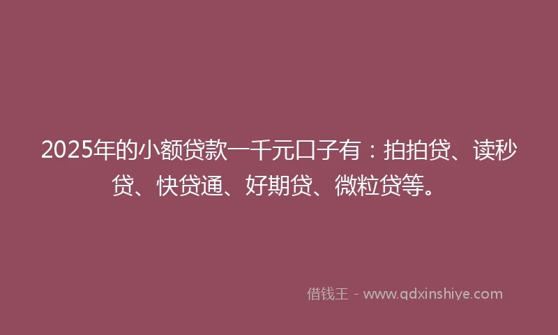 2025年的小额贷款一千元口子有:拍拍贷、读秒贷、快贷通、好期贷、微粒贷等。
