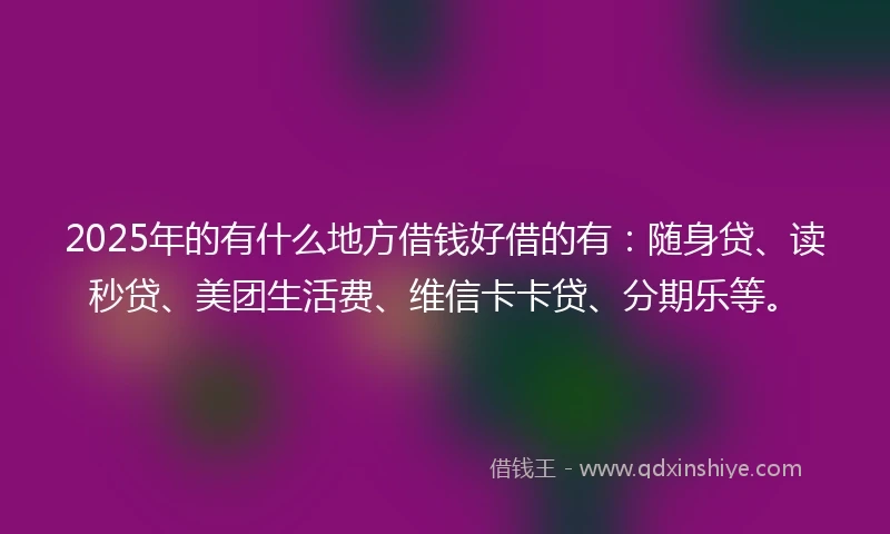 2025年的有什么地方借钱好借的有：随身贷、读秒贷、美团生活费、维信卡卡贷、分期乐等。