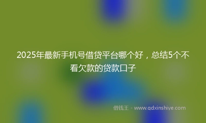 2025年最新手机号借贷平台哪个好，总结5个不看欠款的贷款口子