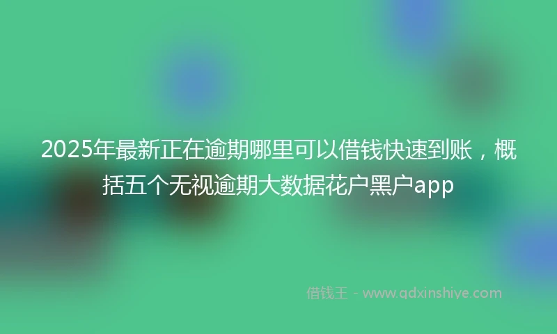 2025年最新正在逾期哪里可以借钱快速到账，概括五个无视逾期大数据花户黑户app