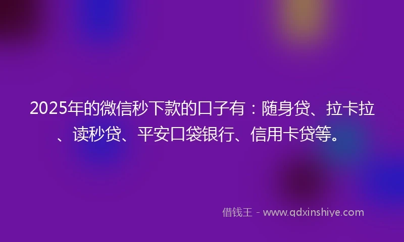 2025年的微信秒下款的口子有：随身贷、拉卡拉、读秒贷、平安口袋银行、信用卡贷等。