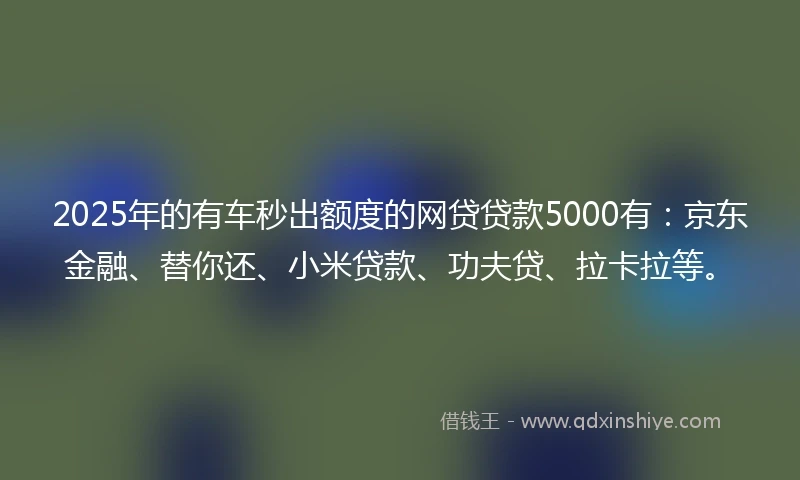 2025年的有车秒出额度的网贷贷款5000有：京东金融、替你还、小米贷款、功夫贷、拉卡拉等。