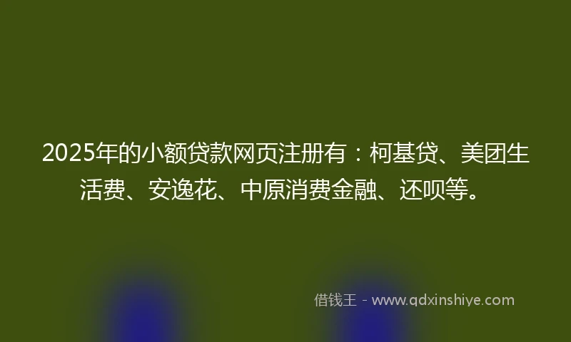 2025年的小额贷款网页注册有：柯基贷、美团生活费、安逸花、中原消费金融、还呗等。