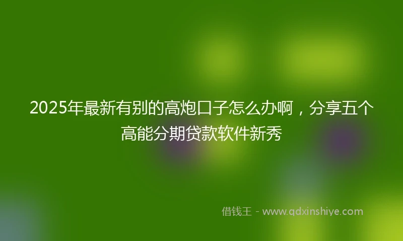 2025年最新有别的高炮口子怎么办啊，分享五个高能分期贷款软件新秀