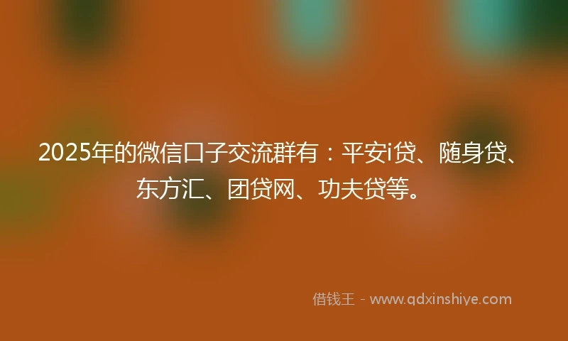 2025年的微信口子交流群有：平安i贷、随身贷、东方汇、团贷网、功夫贷等。