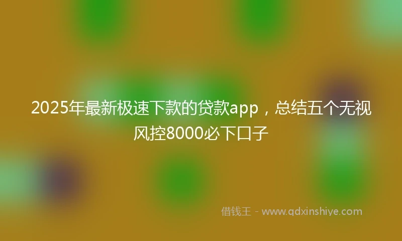 2025年最新极速下款的贷款app，总结五个无视风控8000必下口子