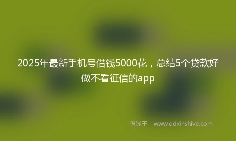 2025年最新手机号借钱5000花，总结5个贷款好做不看征信的app