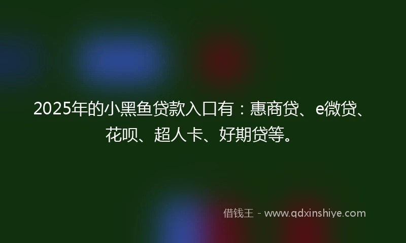 2025年的小黑鱼贷款入口有：惠商贷、e微贷、花呗、超人卡、好期贷等。