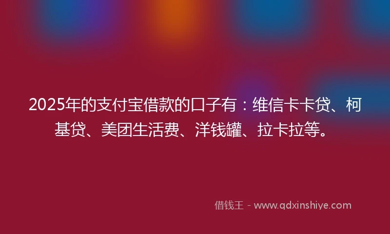 2025年的支付宝借款的口子有：维信卡卡贷、柯基贷、美团生活费、洋钱罐、拉卡拉等。