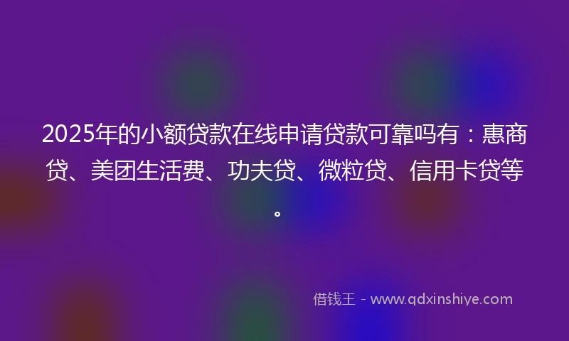 2025年的小额贷款在线申请贷款可靠吗有：惠商贷、美团生活费、功夫贷、微粒贷、信用卡贷等。
