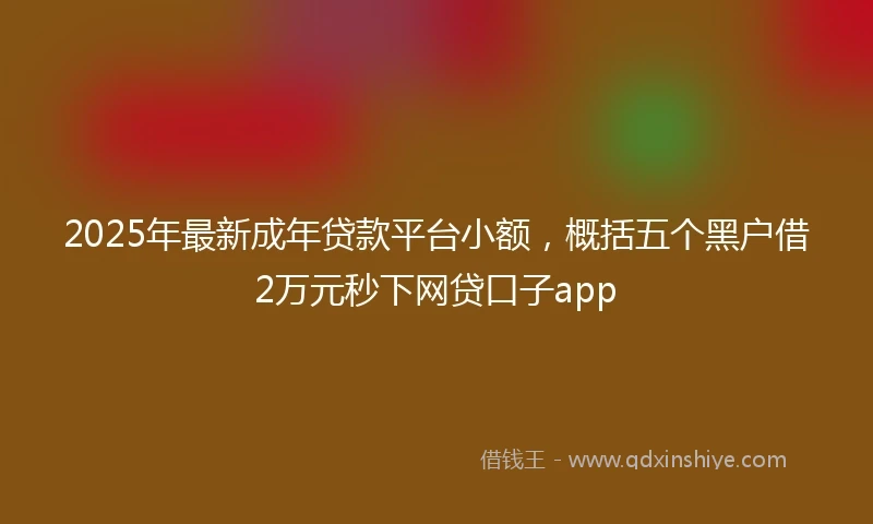 2025年最新成年贷款平台小额，概括五个黑户借2万元秒下网贷口子app