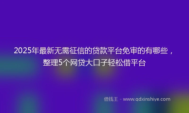 2025年最新无需征信的贷款平台免审的有哪些，整理5个网贷大口子轻松借平台