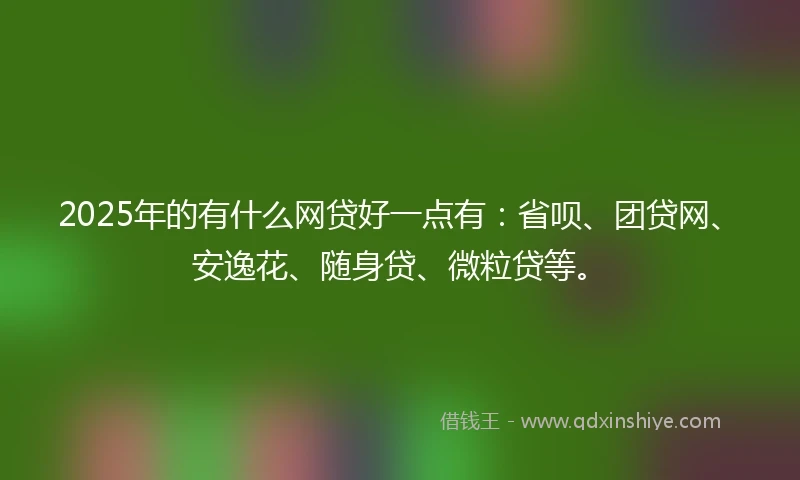 2025年的有什么网贷好一点有：省呗、团贷网、安逸花、随身贷、微粒贷等。