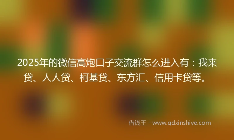 2025年的微信高炮口子交流群怎么进入有：我来贷、人人贷、柯基贷、东方汇、信用卡贷等。
