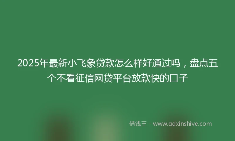 2025年最新小飞象贷款怎么样好通过吗，盘点五个不看征信网贷平台放款快的口子