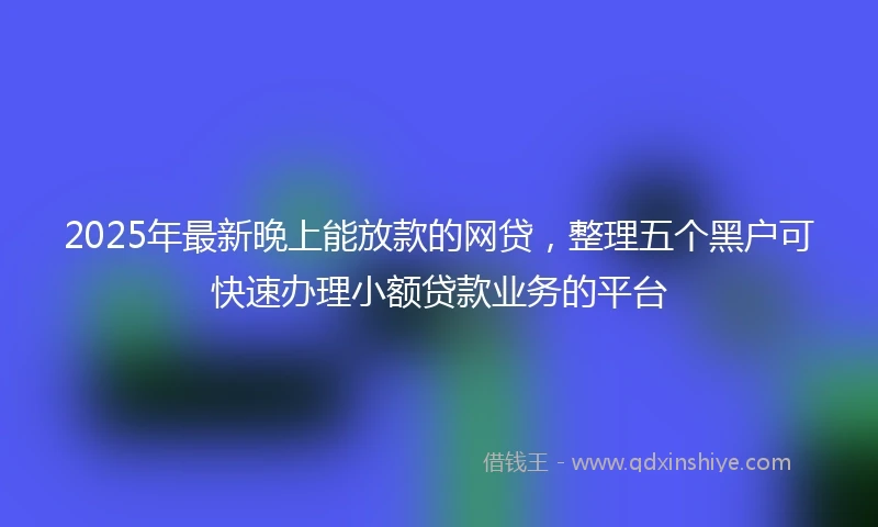 2025年最新晚上能放款的网贷，整理五个黑户可快速办理小额贷款业务的平台