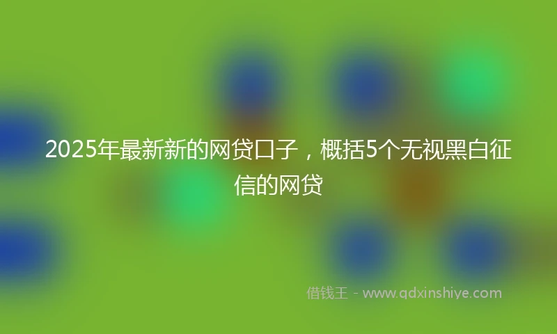 2025年最新新的网贷口子，概括5个无视黑白征信的网贷