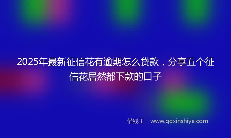 2025年最新征信花有逾期怎么贷款，分享五个征信花居然都下款的口子