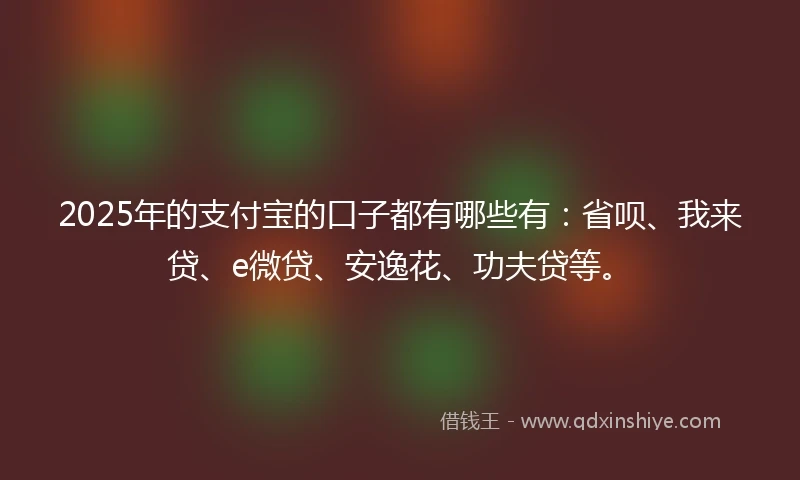2025年的支付宝的口子都有哪些有：省呗、我来贷、e微贷、安逸花、功夫贷等。