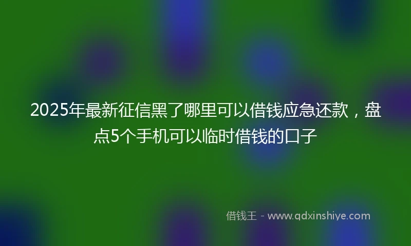 2025年最新征信黑了哪里可以借钱应急还款，盘点5个手机可以临时借钱的口子