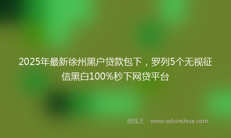 2025年最新徐州黑户贷款包下，罗列5个无视征信黑白100%秒下网贷平台