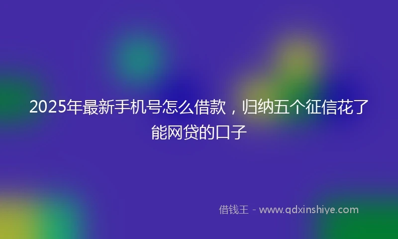 2025年最新手机号怎么借款，归纳五个征信花了能网贷的口子