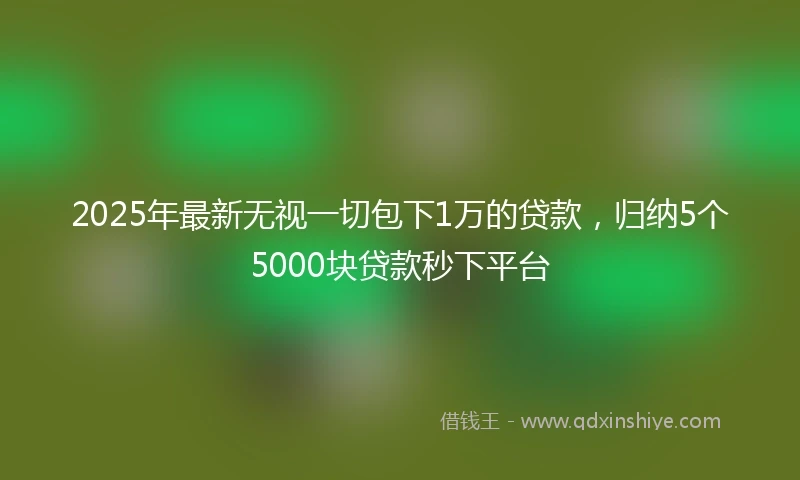 2025年最新无视一切包下1万的贷款，归纳5个5000块贷款秒下平台