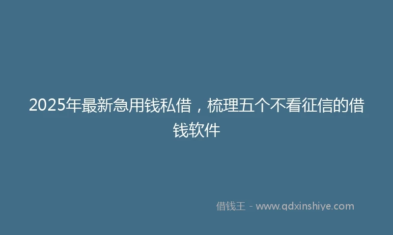 2025年最新急用钱私借，梳理五个不看征信的借钱软件
