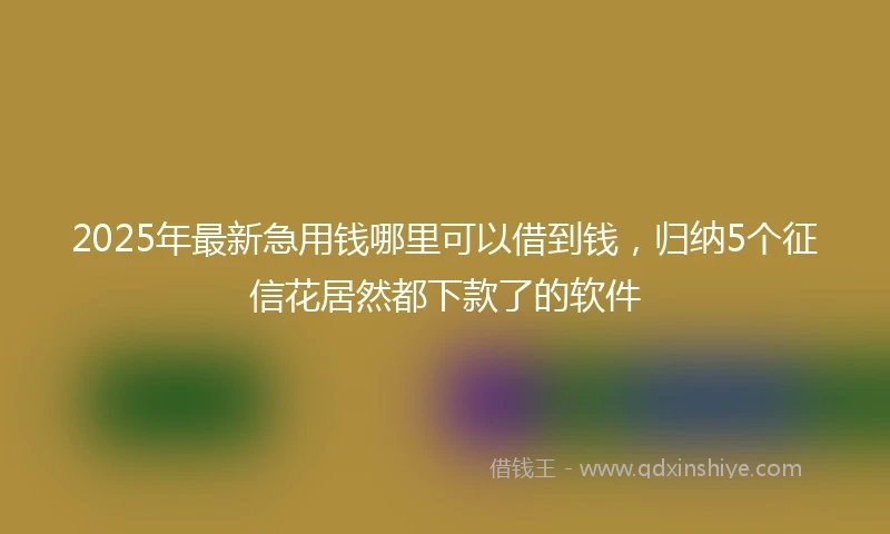 2025年最新急用钱哪里可以借到钱，归纳5个征信花居然都下款了的软件
