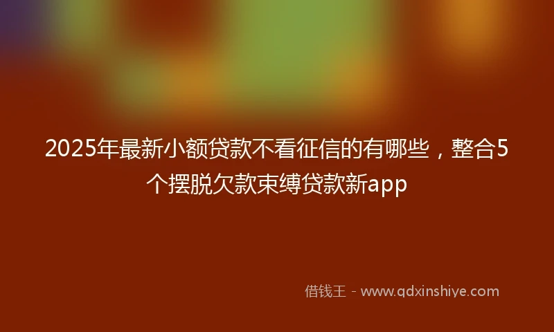 2025年最新小额贷款不看征信的有哪些，整合5个摆脱欠款束缚贷款新app