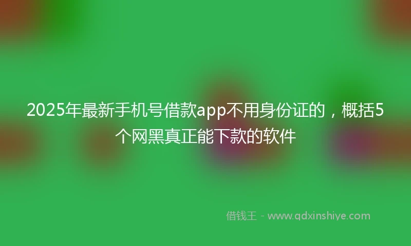 2025年最新手机号借款app不用身份证的，概括5个网黑真正能下款的软件