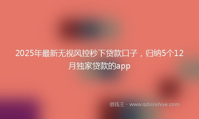 2025年最新无视风控秒下贷款口子，归纳5个12月独家贷款的app