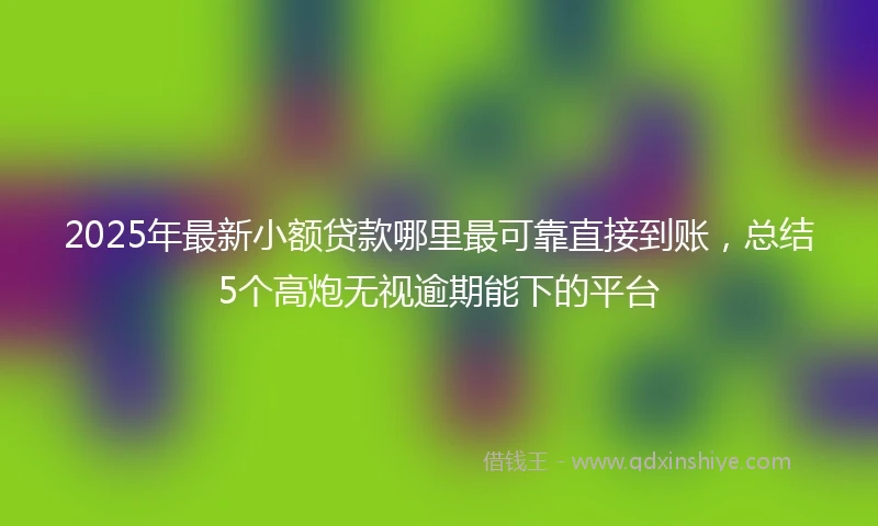2025年最新小额贷款哪里最可靠直接到账，总结5个高炮无视逾期能下的平台