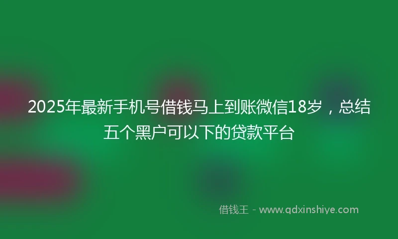 2025年最新手机号借钱马上到账微信18岁，总结五个黑户可以下的贷款平台