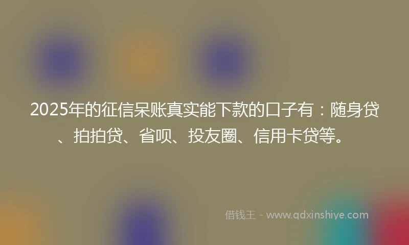 2025年的征信呆账真实能下款的口子有：随身贷、拍拍贷、省呗、投友圈、信用卡贷等。