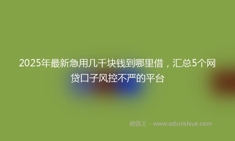 2025年最新急用几千块钱到哪里借，汇总5个网贷口子风控不严的平台