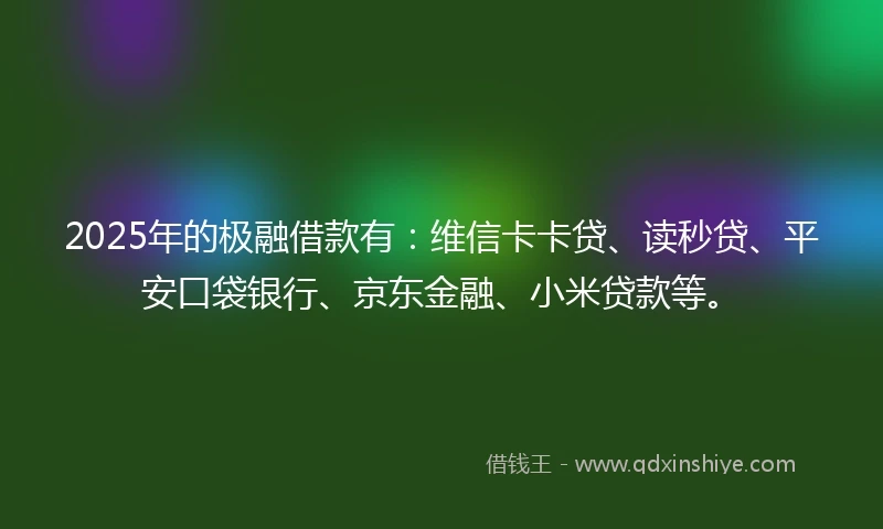 2025年的极融借款有：维信卡卡贷、读秒贷、平安口袋银行、京东金融、小米贷款等。