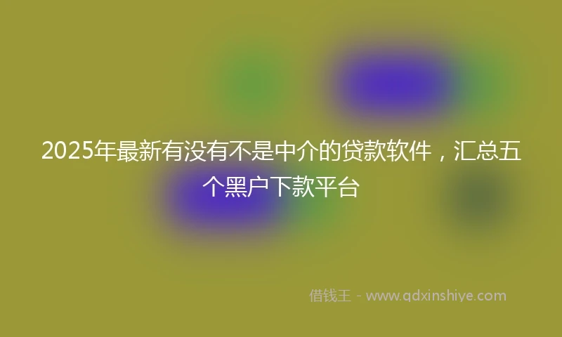 2025年最新有没有不是中介的贷款软件，汇总五个黑户下款平台