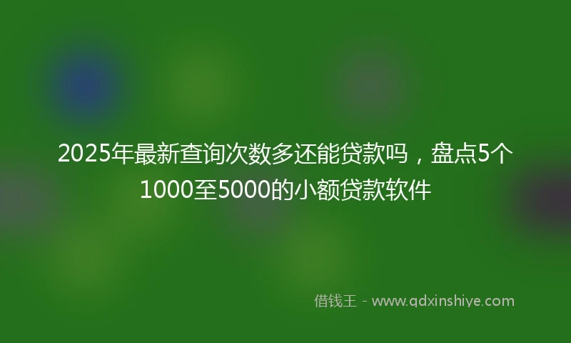 2025年最新查询次数多还能贷款吗，盘点5个1000至5000的小额贷款软件