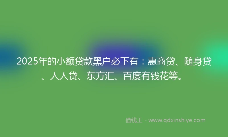 2025年的小额贷款黑户必下有：惠商贷、随身贷、人人贷、东方汇、百度有钱花等。