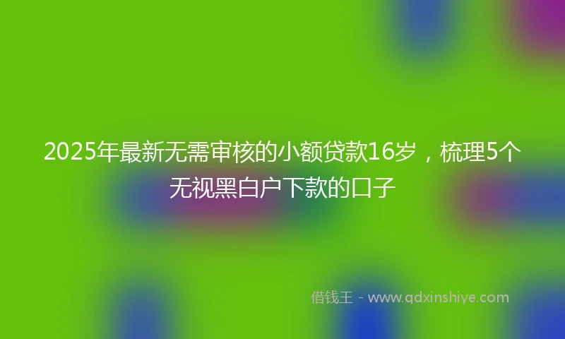 2025年最新无需审核的小额贷款16岁，梳理5个无视黑白户下款的口子
