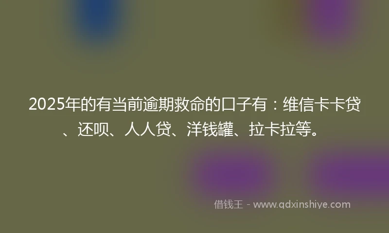 2025年的有当前逾期救命的口子有：维信卡卡贷、还呗、人人贷、洋钱罐、拉卡拉等。