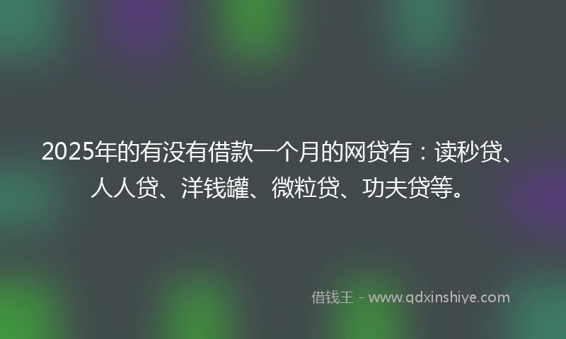 2025年的有没有借款一个月的网贷有：读秒贷、人人贷、洋钱罐、微粒贷、功夫贷等。