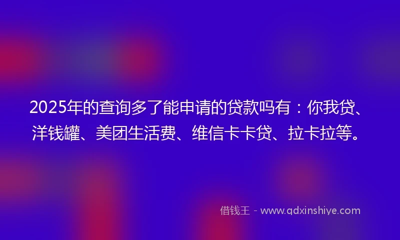 2025年的查询多了能申请的贷款吗有：你我贷、洋钱罐、美团生活费、维信卡卡贷、拉卡拉等。